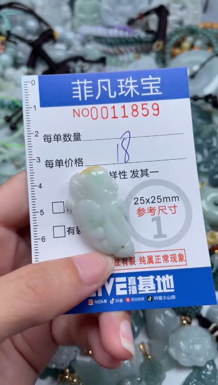 颈饰未镶嵌翡翠11859