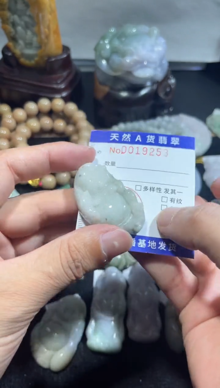 【闪购商品】翡翠颈饰未镶嵌00019253