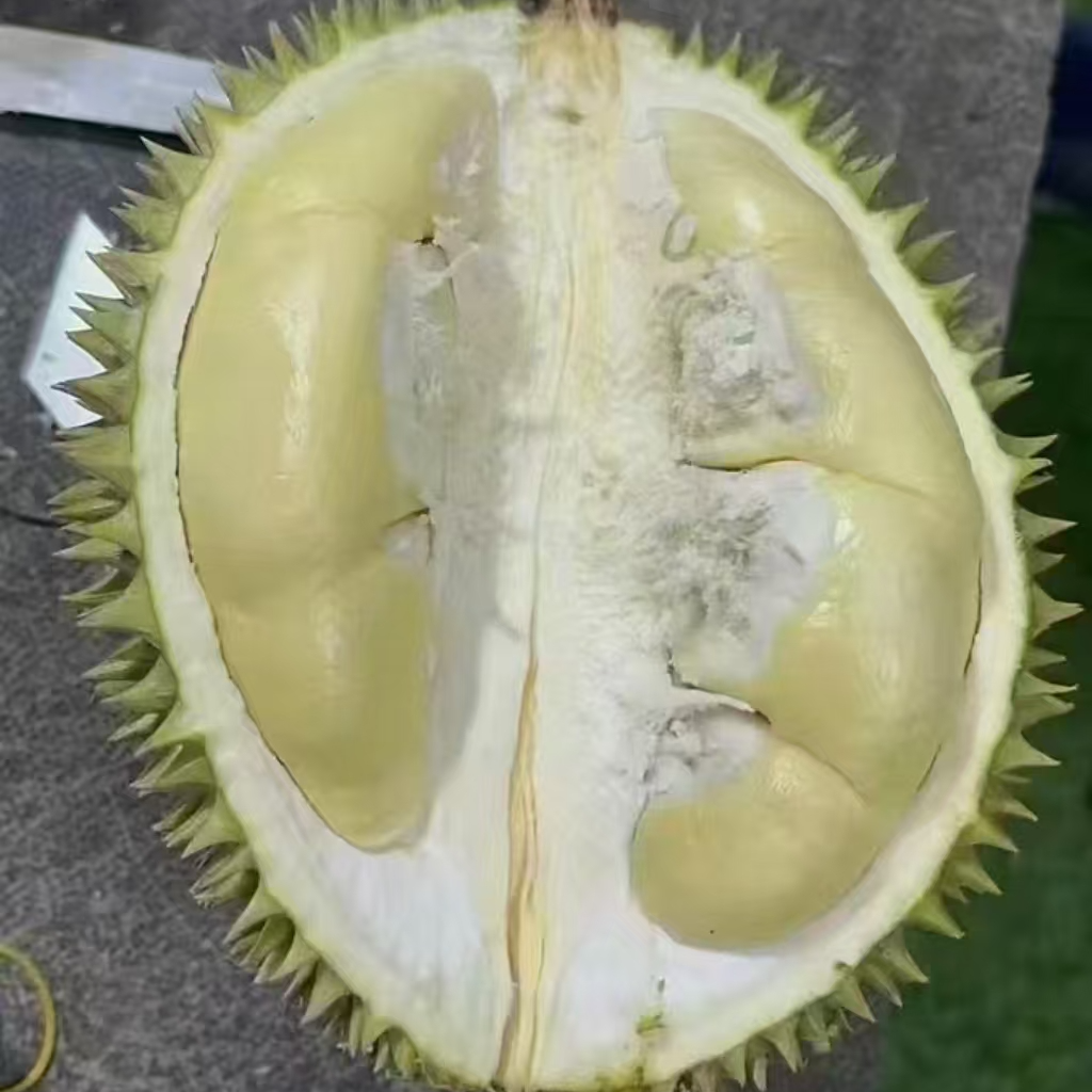 新鲜核大奶油猫山榴莲23.8一斤泰国进口整果规格1 - 9斤猫山王卟售后猫山王泰国