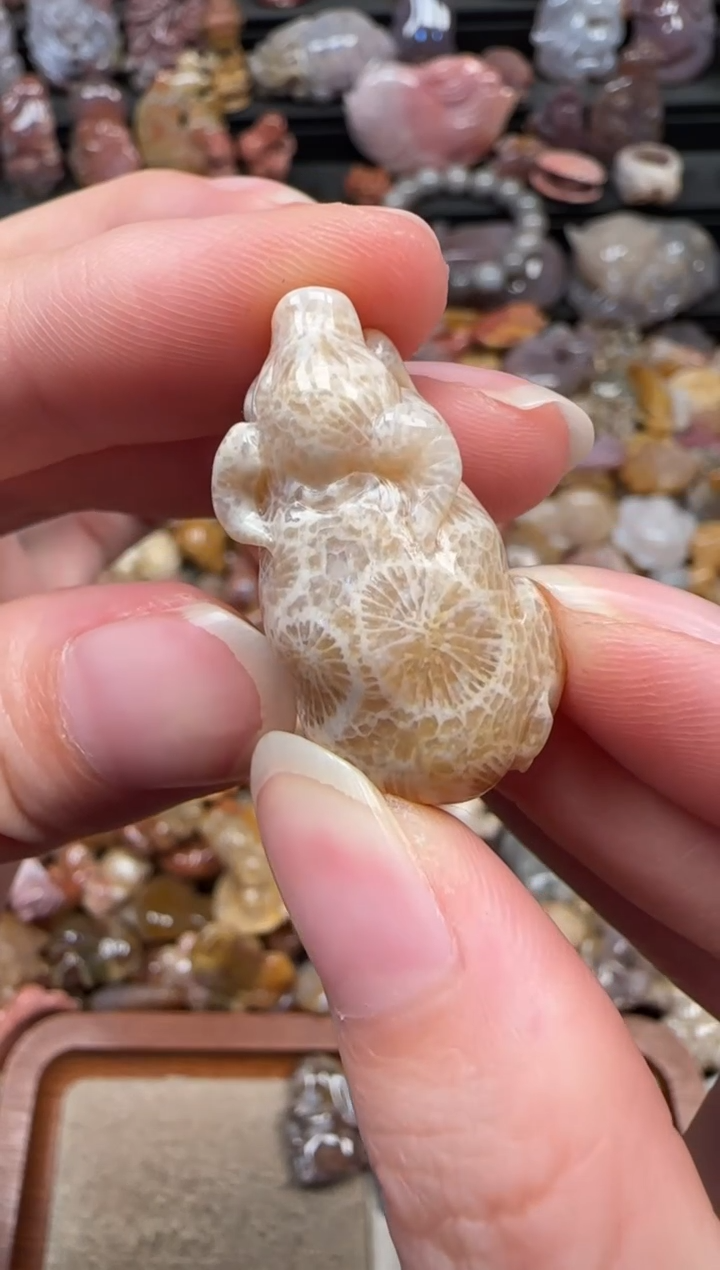 颈饰未镶嵌硅化珊瑚（珊瑚玉）677