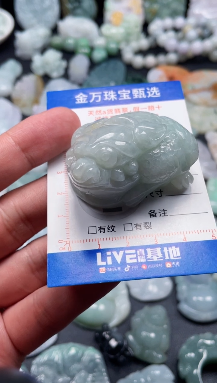 翡翠未镶嵌颈饰天然翡翠a货
