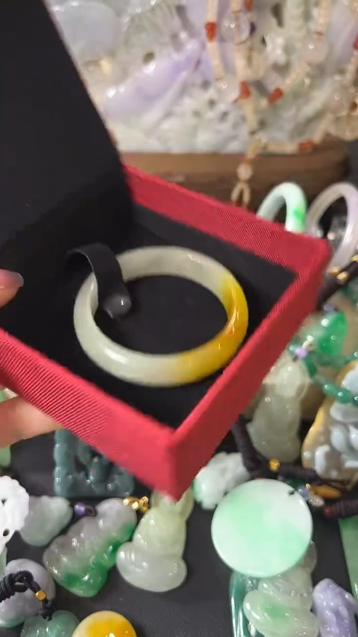 颈饰未镶嵌翡翠镯子