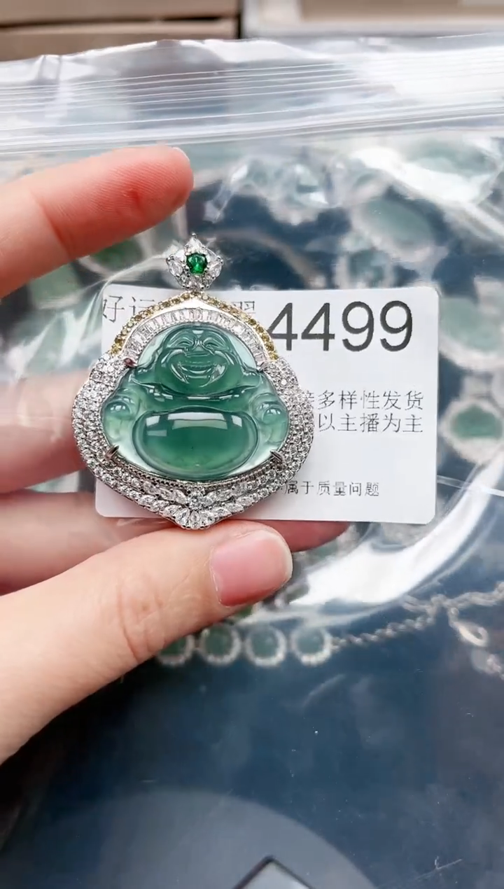 【闪购商品】翡翠颈饰未镶嵌4499赠皮绳
