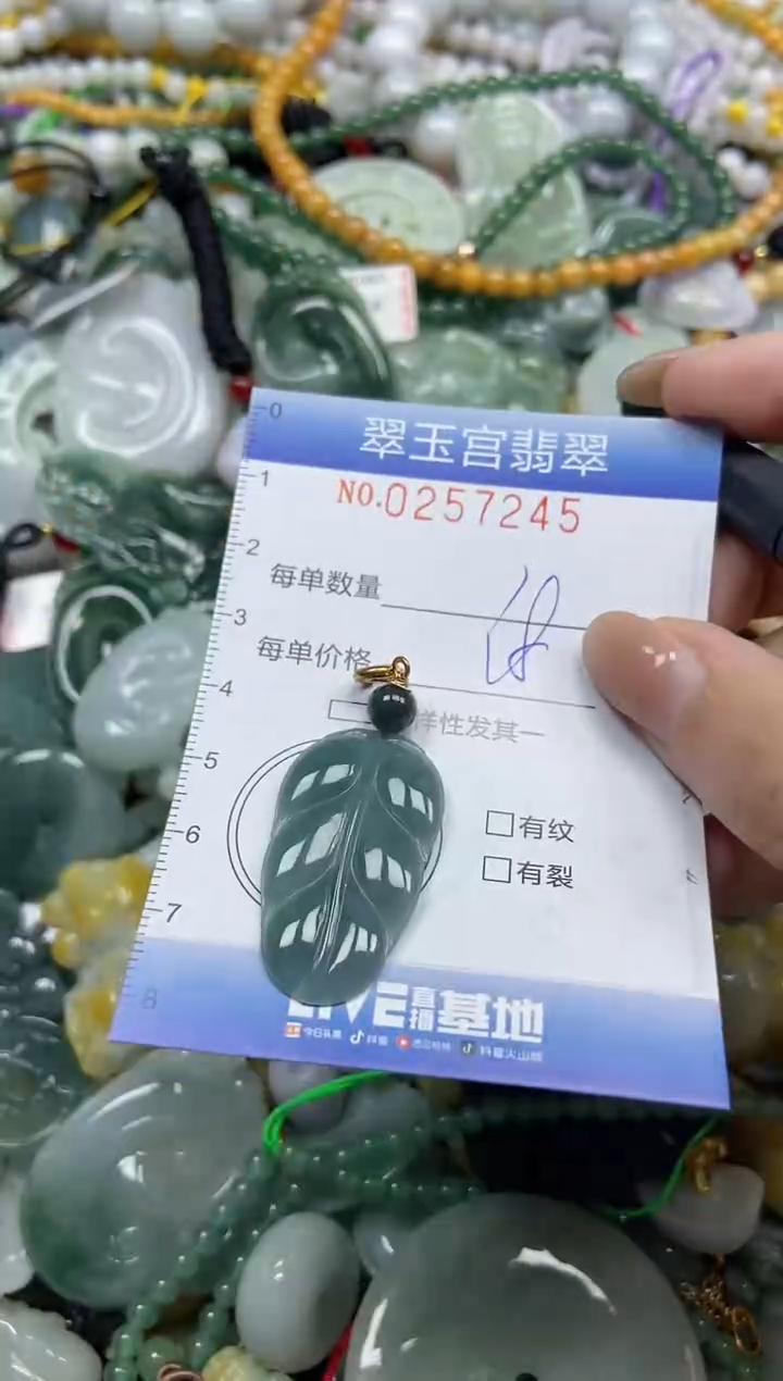 颈饰未镶嵌翡翠闪购C0257245