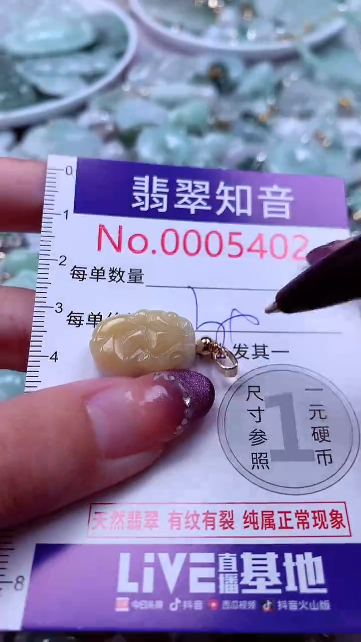 翡翠未镶嵌吊坠(不含链)5402