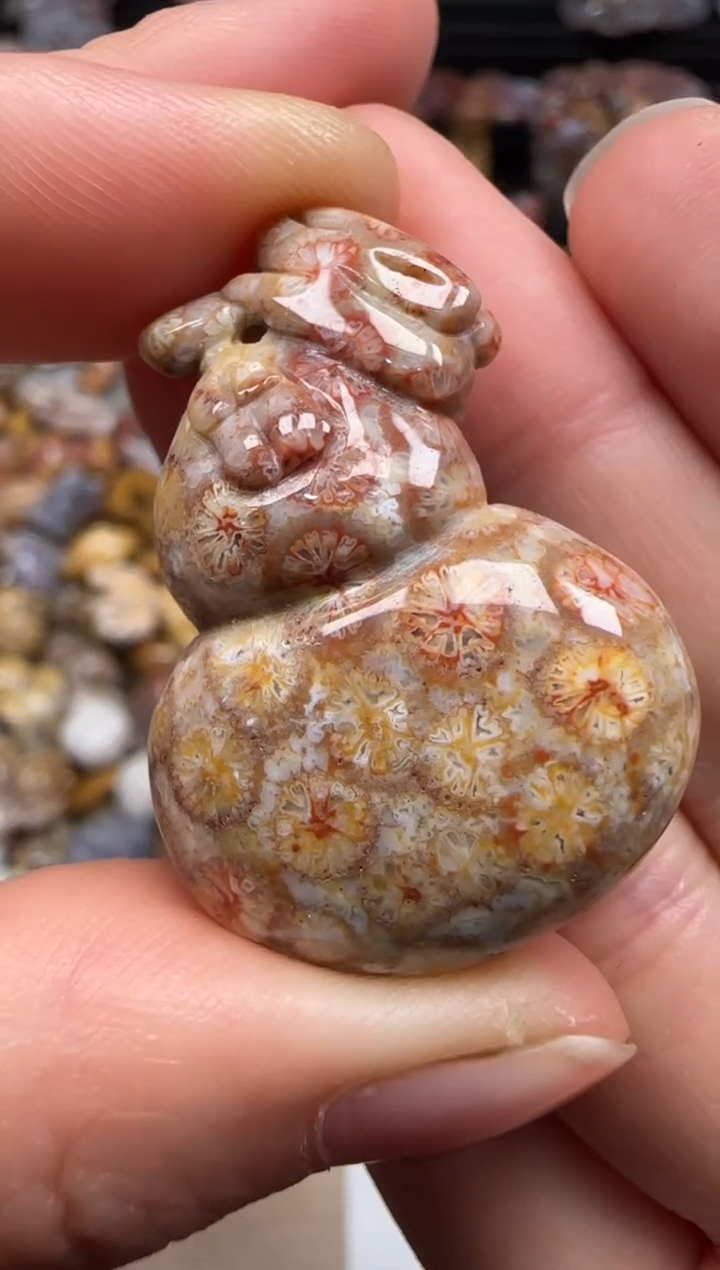 【闪购商品】硅化珊瑚（珊瑚玉）颈饰未镶嵌399