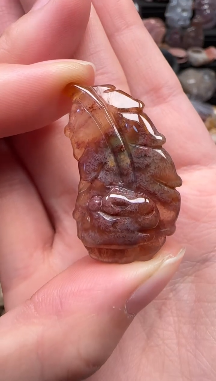 颈饰未镶嵌硅化珊瑚（珊瑚玉）859