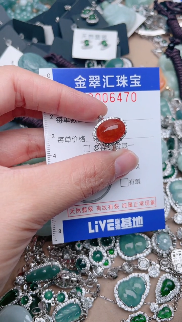 【闪购商品】翡翠颈饰未镶嵌6470....1
