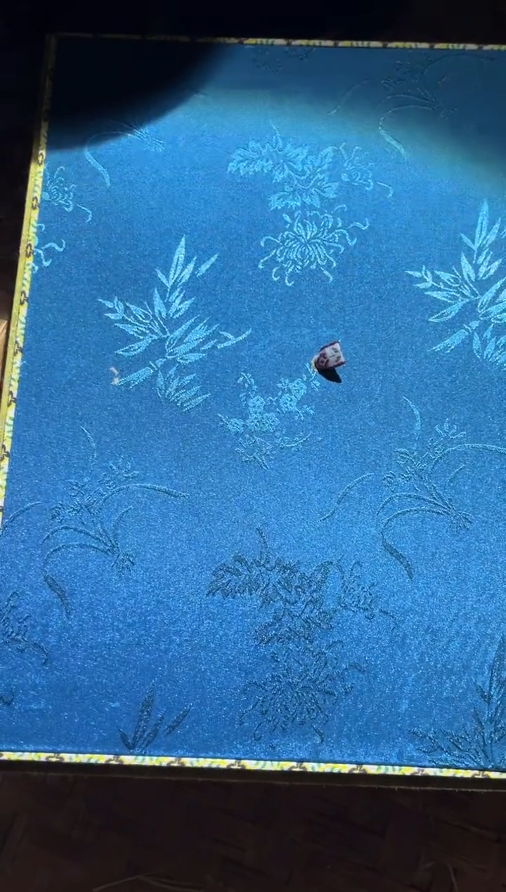 【闪购商品】织绣102财财财财v财财财财财财财财