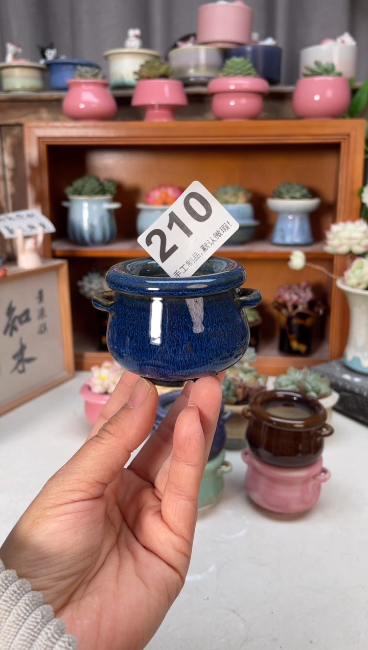 瓷片安****️210小芳花盆直播编号