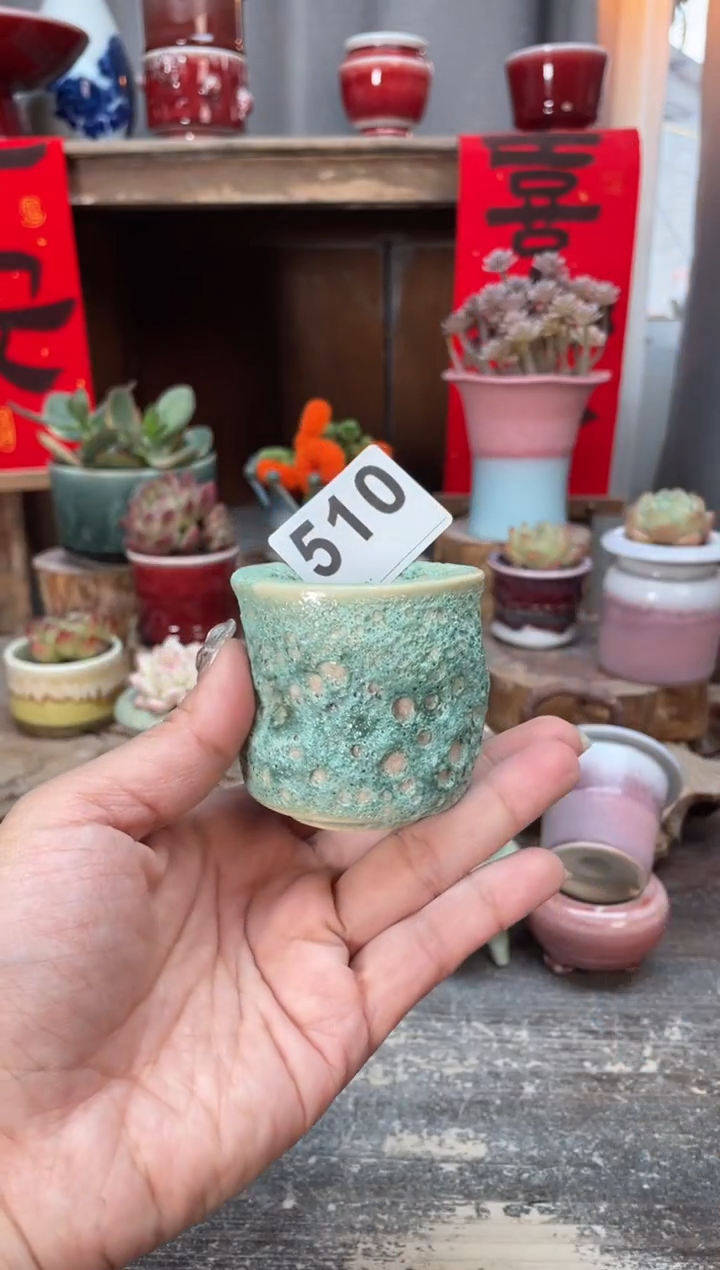 【闪购商品】摆件510知木小芳花盆