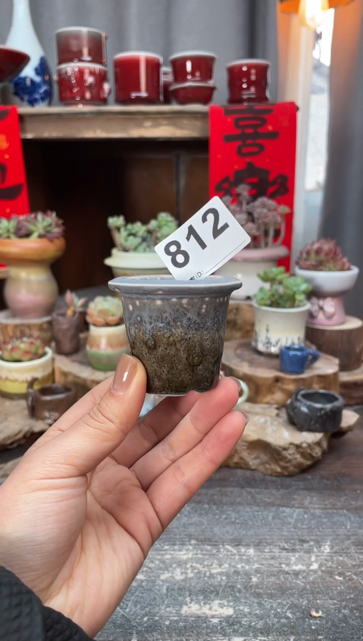 【闪购商品】摆件812知木小芳花盆