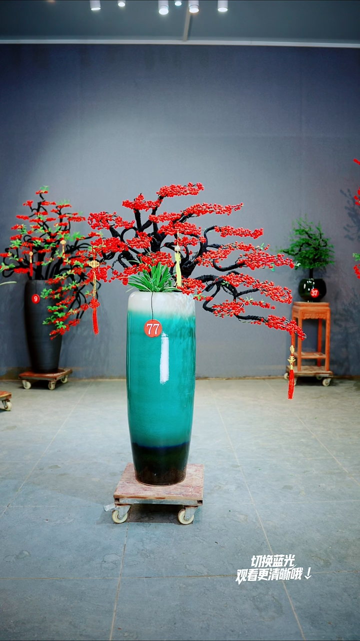 当前无花朵，栽培后可花朵曹****业一物一拍绿植