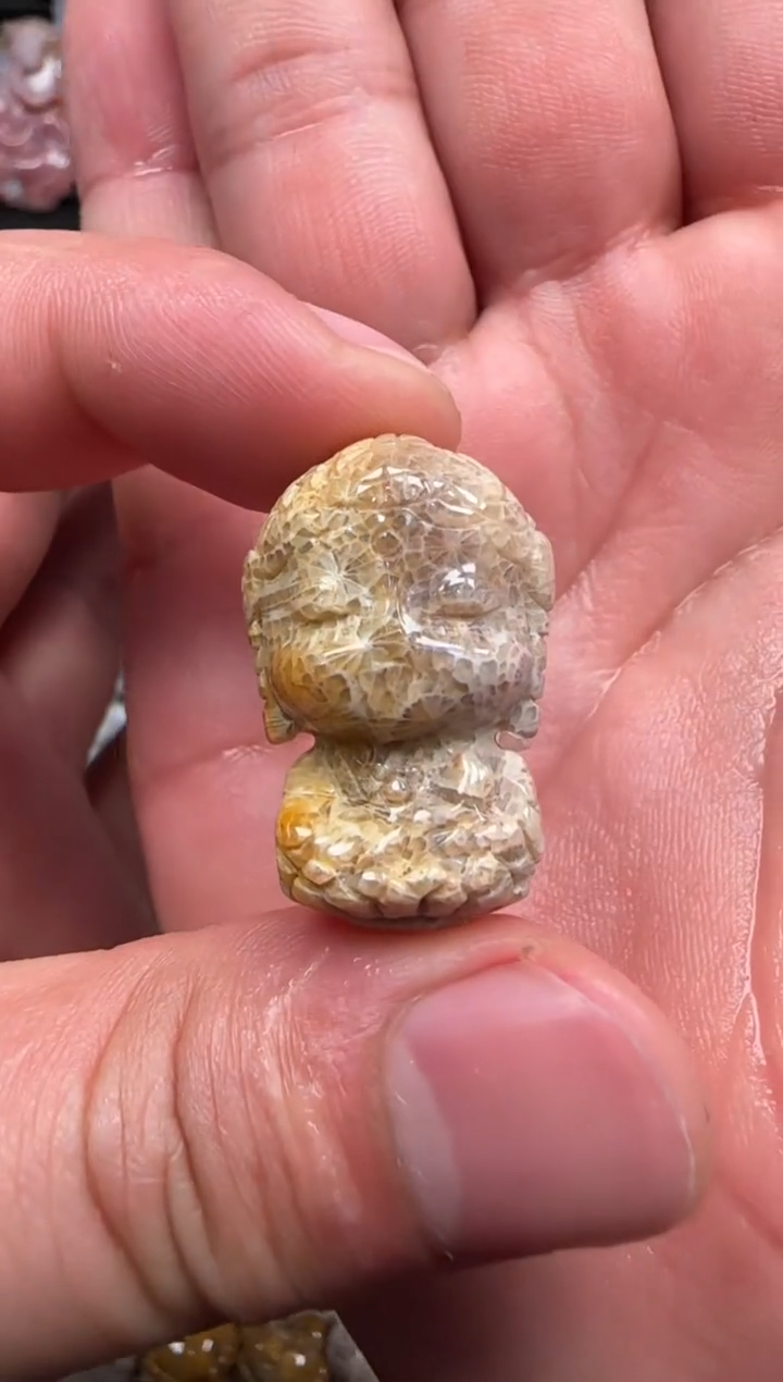 【闪购商品】硅化珊瑚（珊瑚玉）颈饰未镶嵌209
