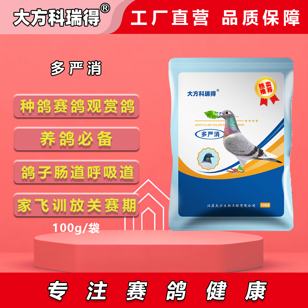 大方科瑞得大方科瑞得多严消赛鸽种鸽观赏鸽肉鸽可用