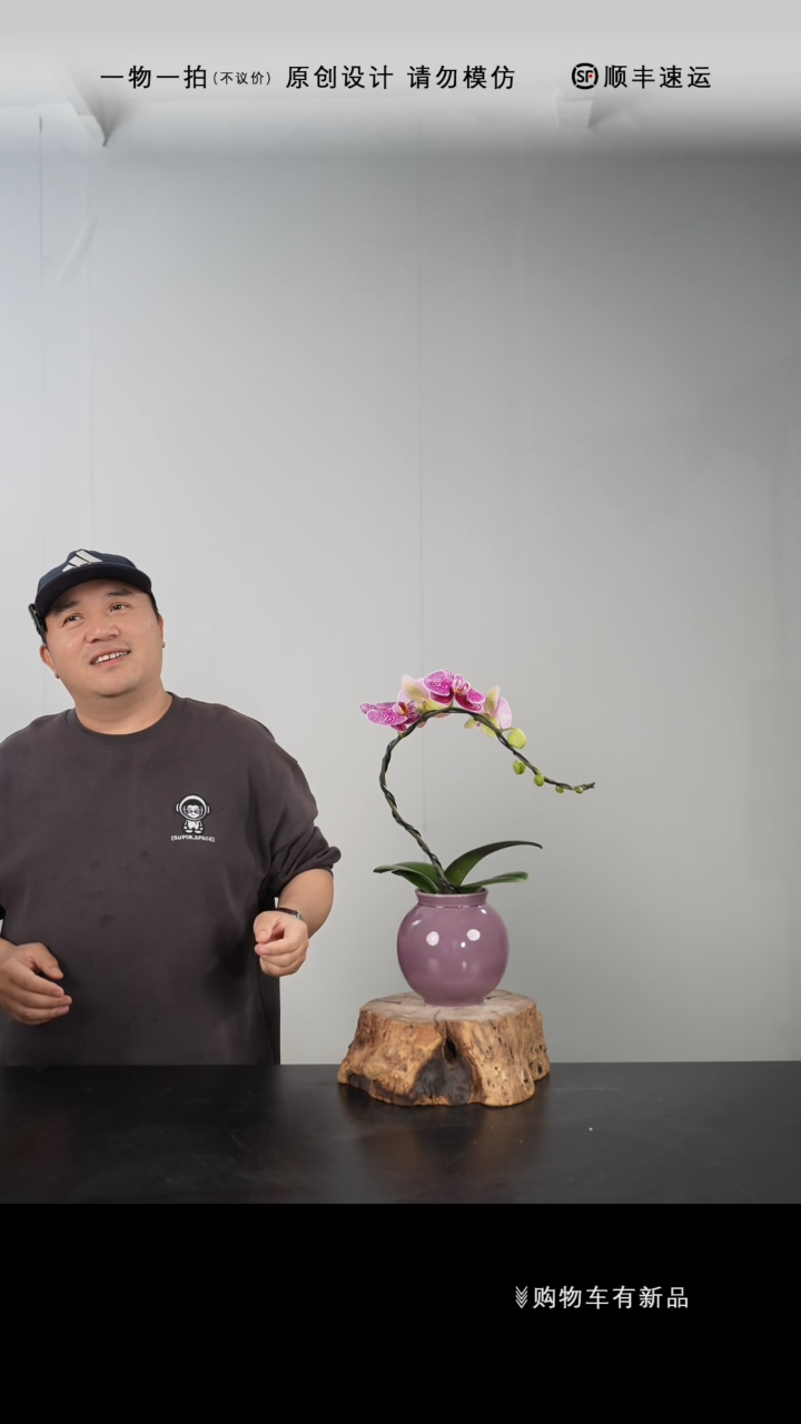 【闪购商品】084号链接【一物一拍】艺术盆景