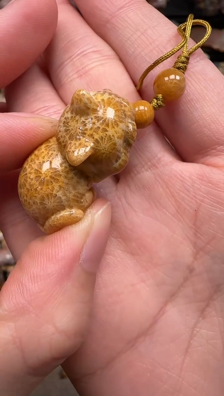 硅化珊瑚（珊瑚玉）未镶嵌颈饰169