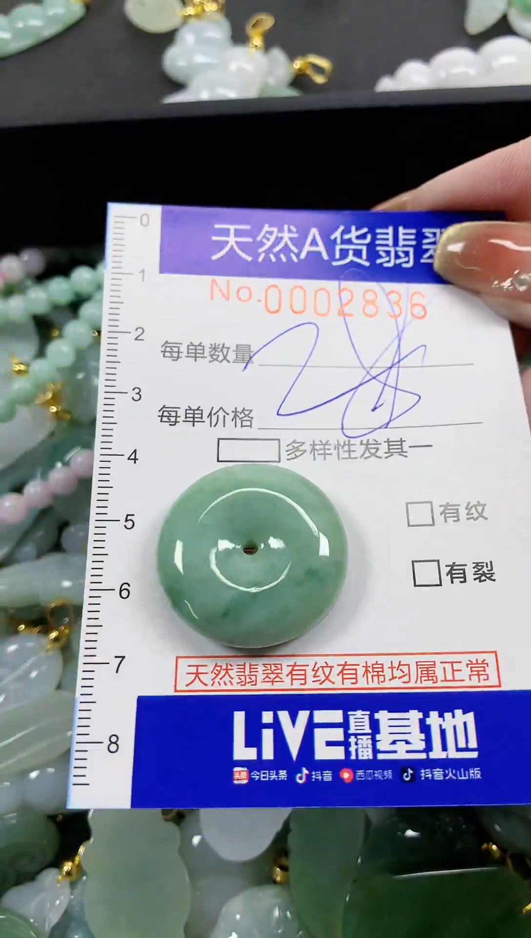 颈饰未镶嵌翡翠天然A货翡翠