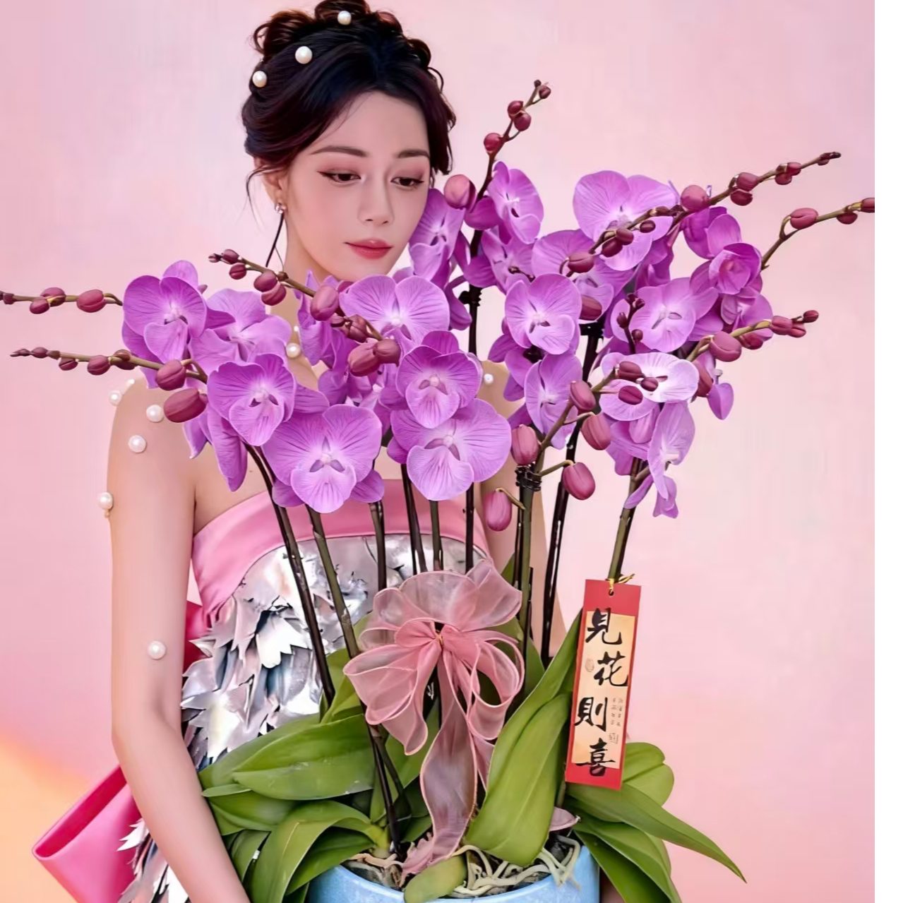 粉黛佳人中小花蝴蝶兰四颗