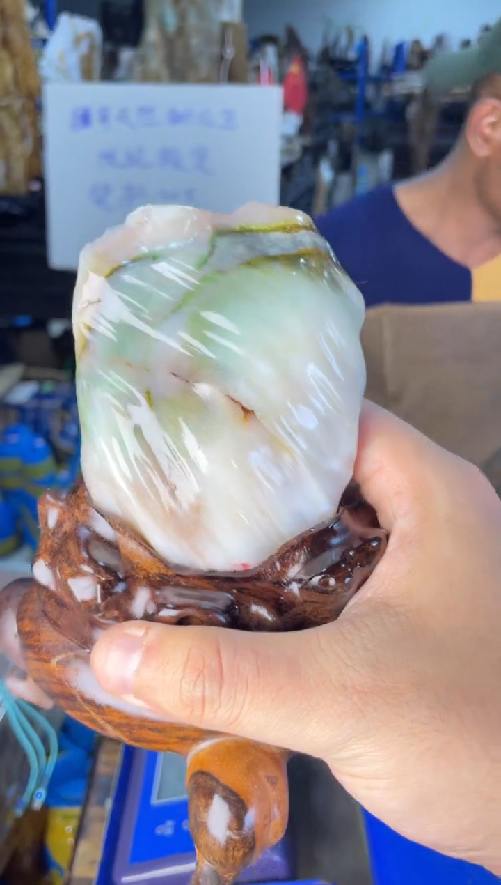 未镶嵌摆件硅化玉36