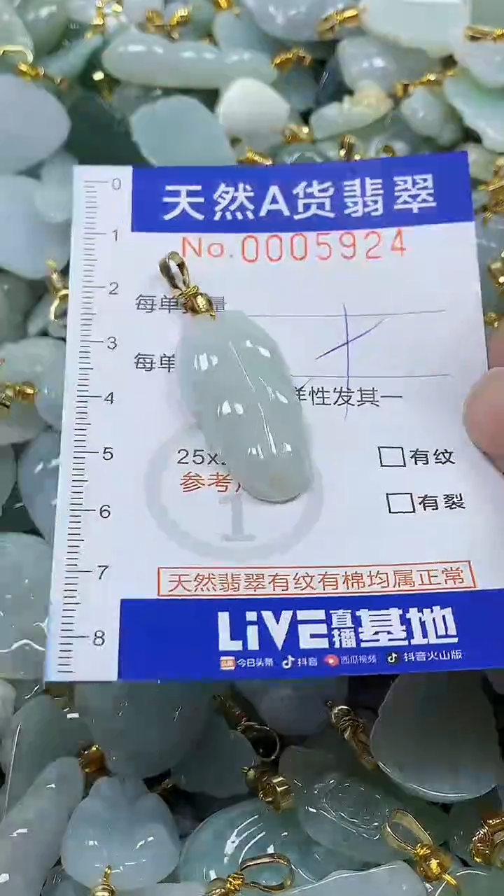 颈饰未镶嵌翡翠纯天然a货翡翠