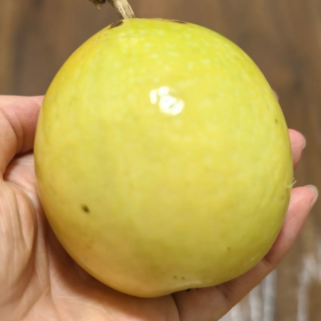 新鲜百香果大果两斤