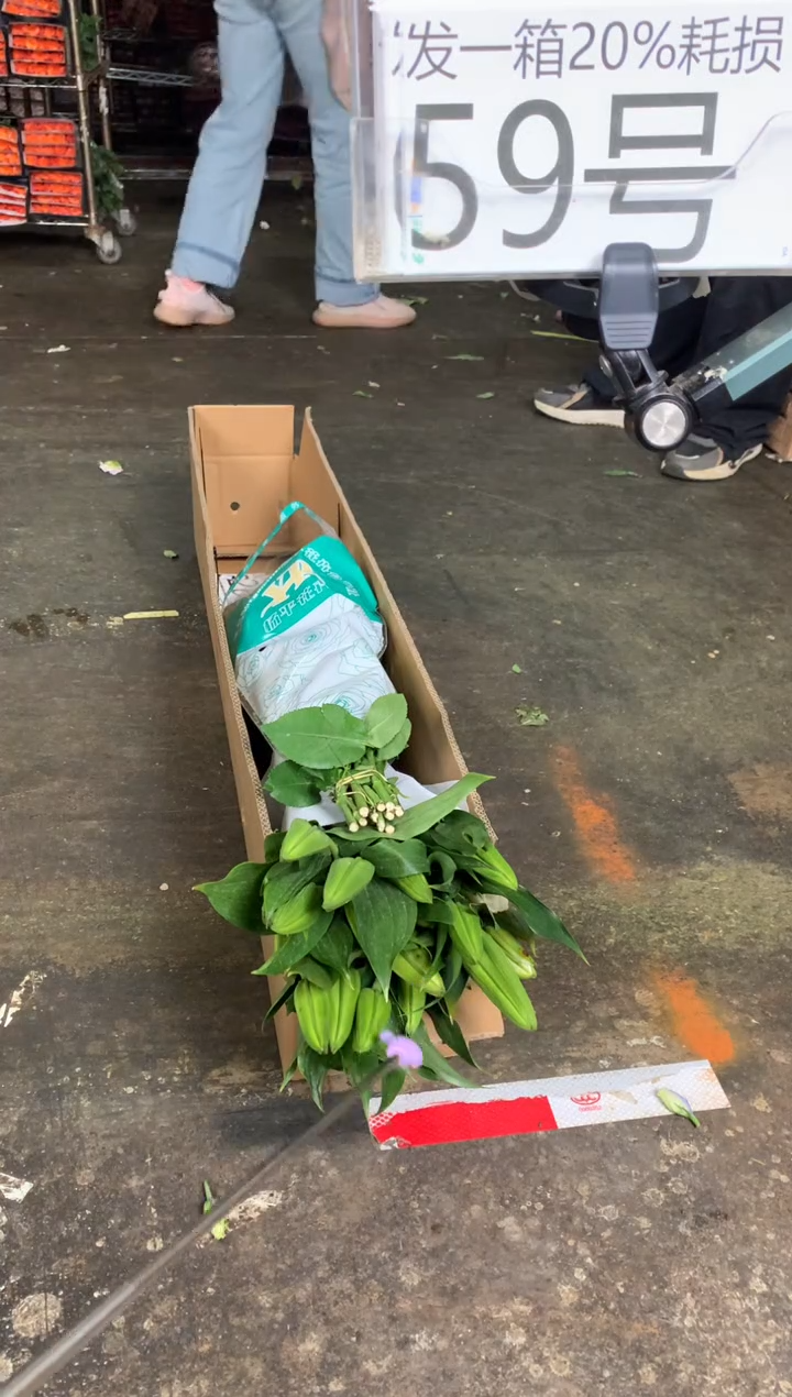 59号♥含20%耗损发一箱