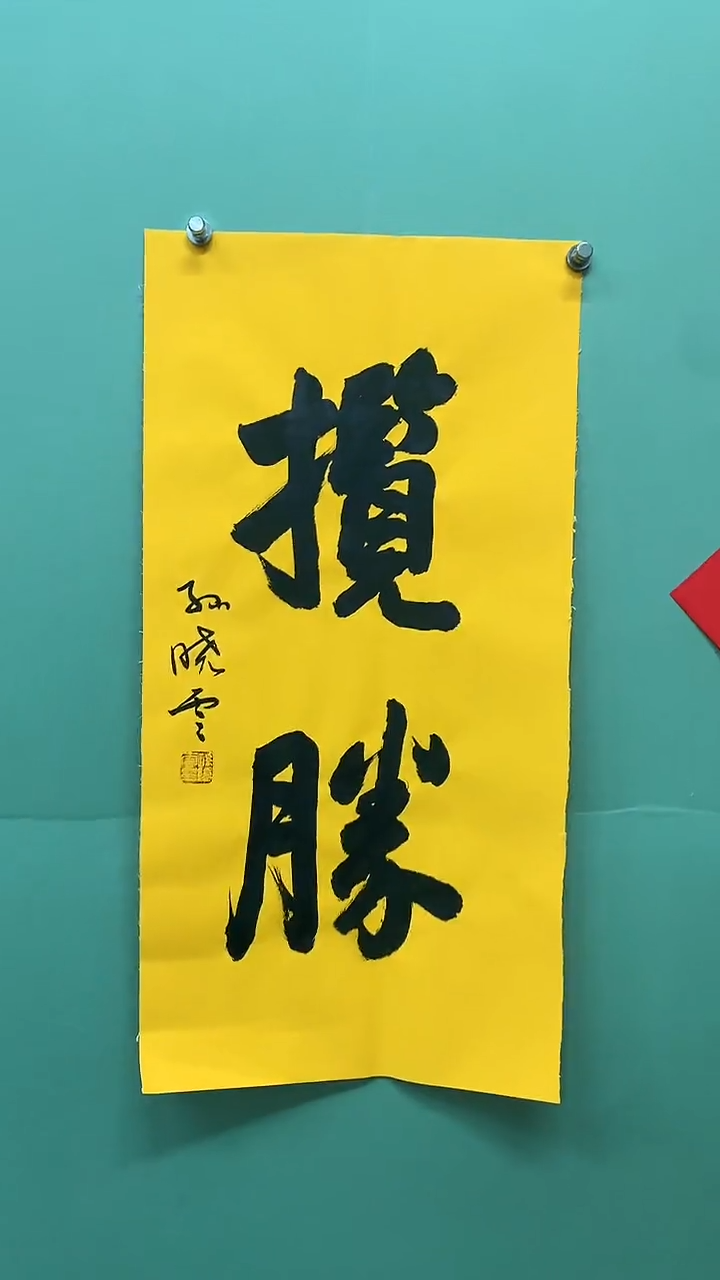 竖款精品书法，揽胜