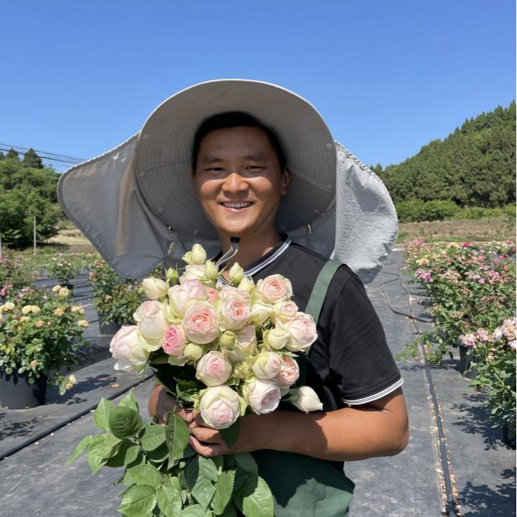 黑哥的植物0.5加仑蓝色阴雨高原红等多种品种灌木藤本月季花苗