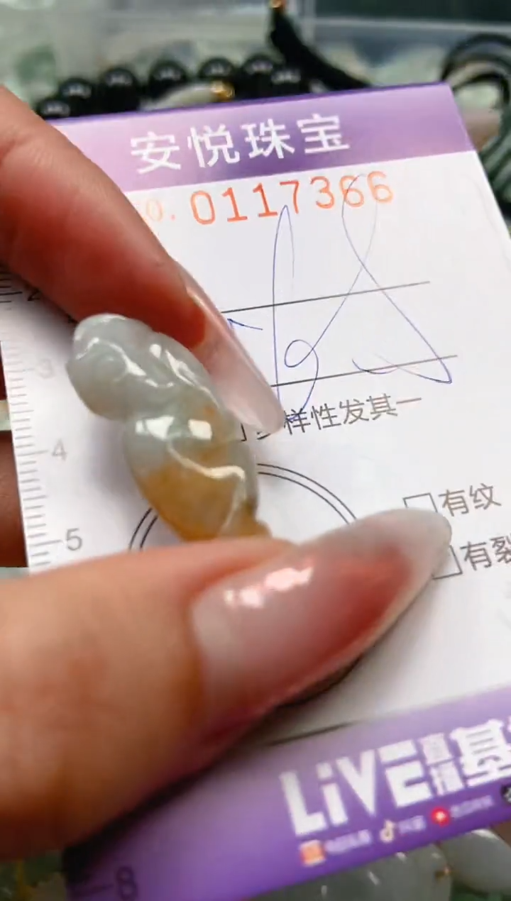 【闪购商品】翡翠颈饰未镶嵌闪购0117366