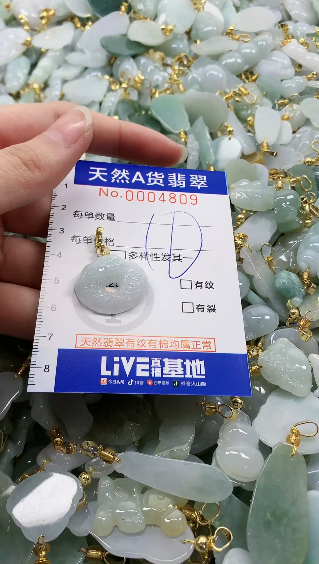 颈饰未镶嵌翡翠纯天然a货翡翠