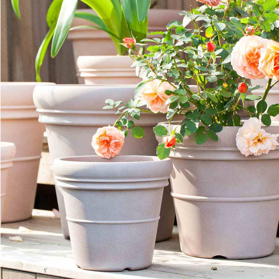 米兰复古罗马ins风花园阳台种植三角梅户外庭院盆花盆家用高飘