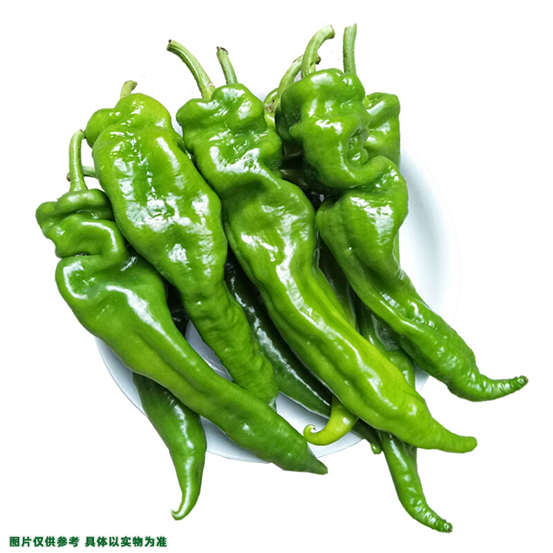 【散】螺丝椒约250g±20g/份
