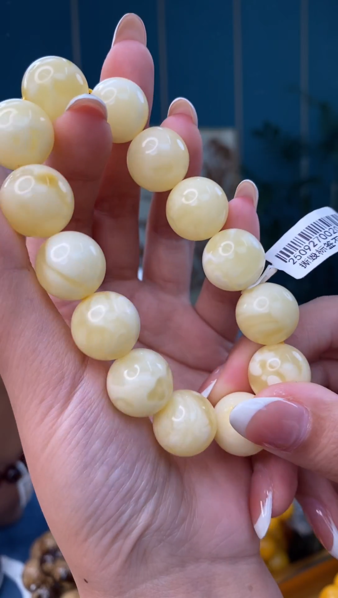 裸石琥珀未镶嵌12/11多样性发其一88