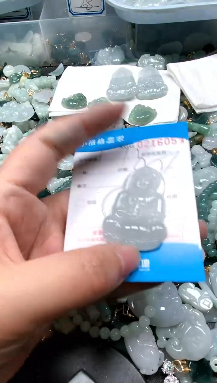 【闪购商品】翡翠颈饰未镶嵌闪购商品0216053