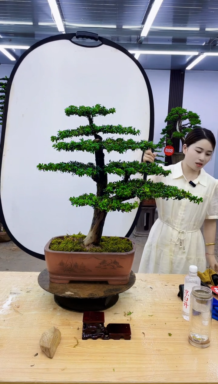 完全开放000000000000