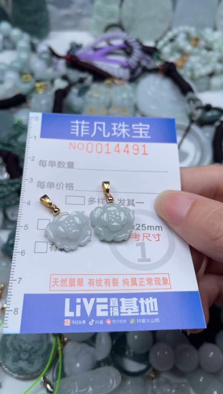 颈饰未镶嵌翡翠14491