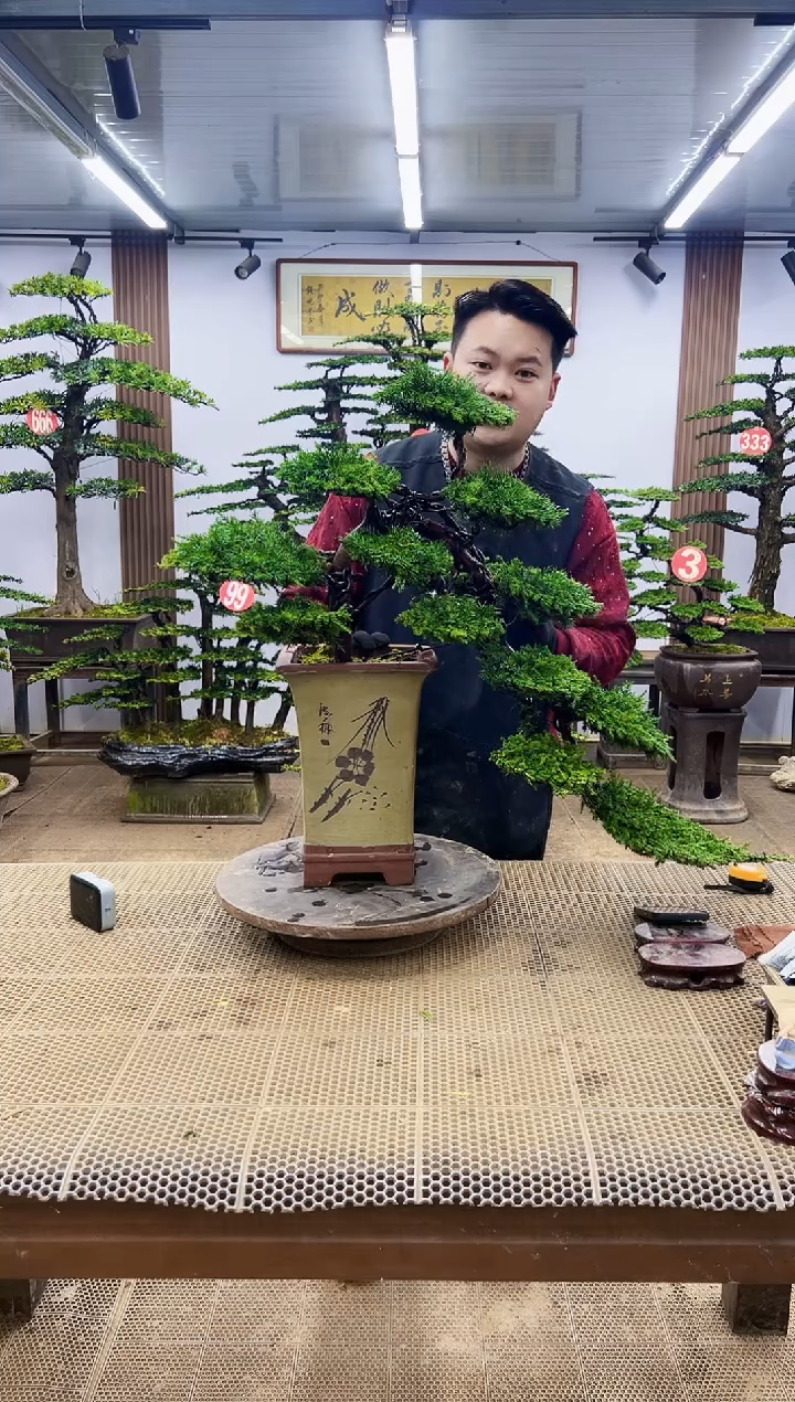 【闪购商品】00000000000