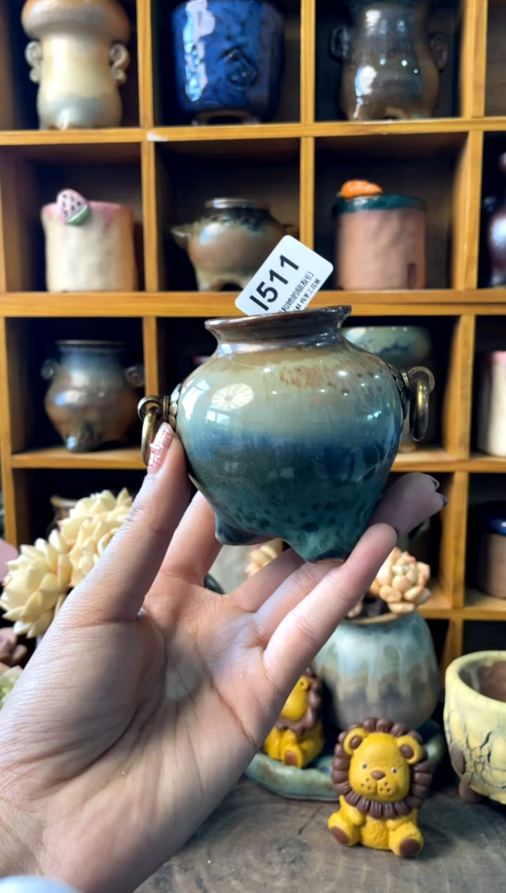 511内口3.5【多肉花盆多肉盆】1