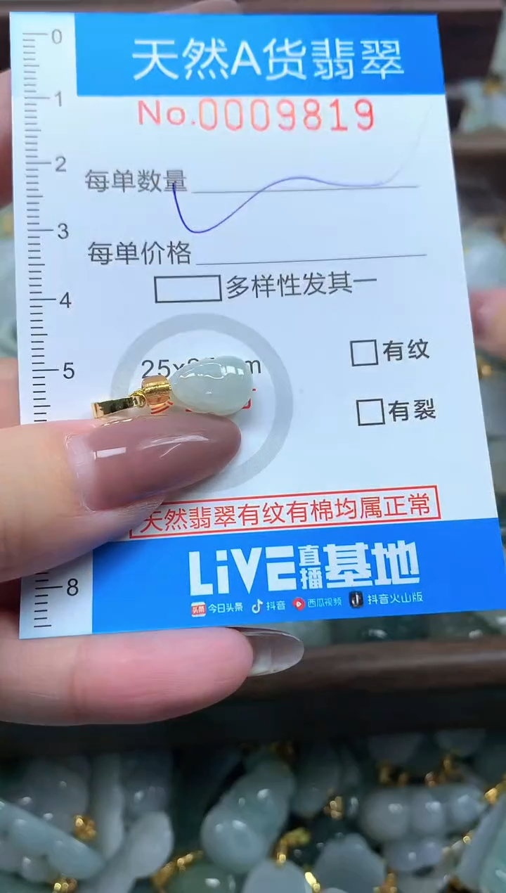 颈饰未镶嵌翡翠净货挂件-9819