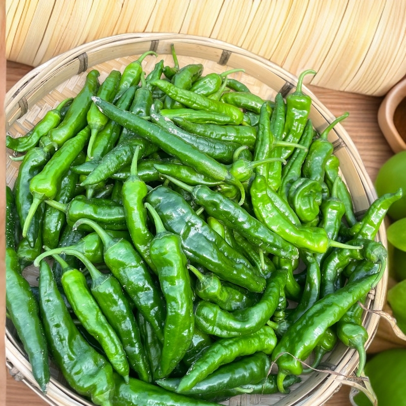 新鲜现采樟树港樟树青辣椒皮薄肉脆农家自种包邮