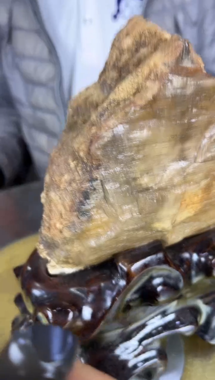 缅甸天然树化玉摆件