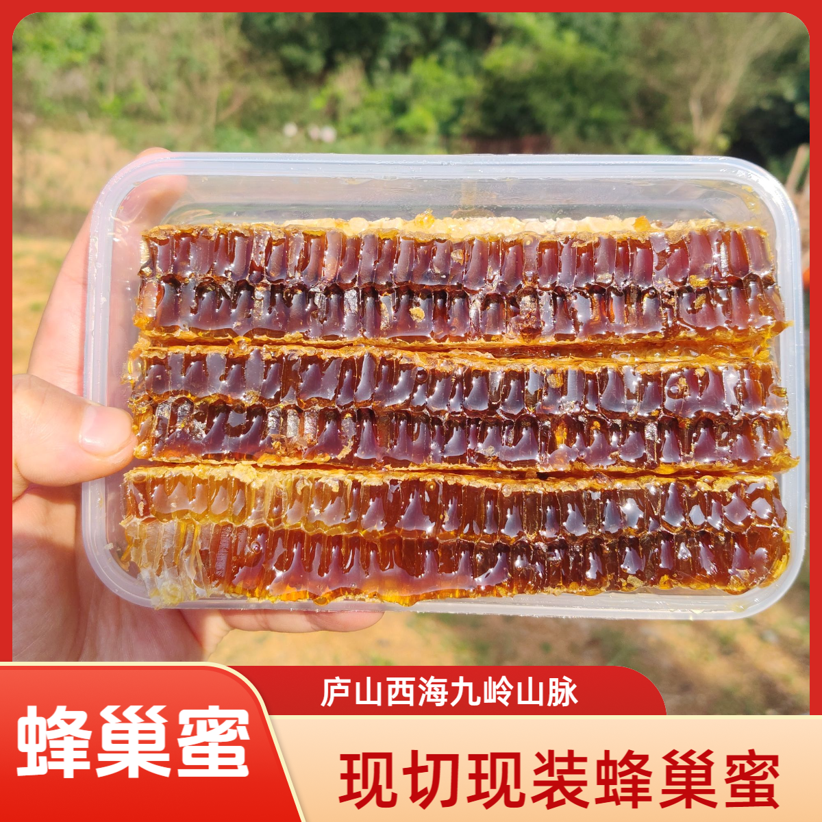 【蜂巢蜜爆盒装】蜂巢蜜嚼着吃庐山西海中蜂蜜纯正宗农家土蜂蜜一年