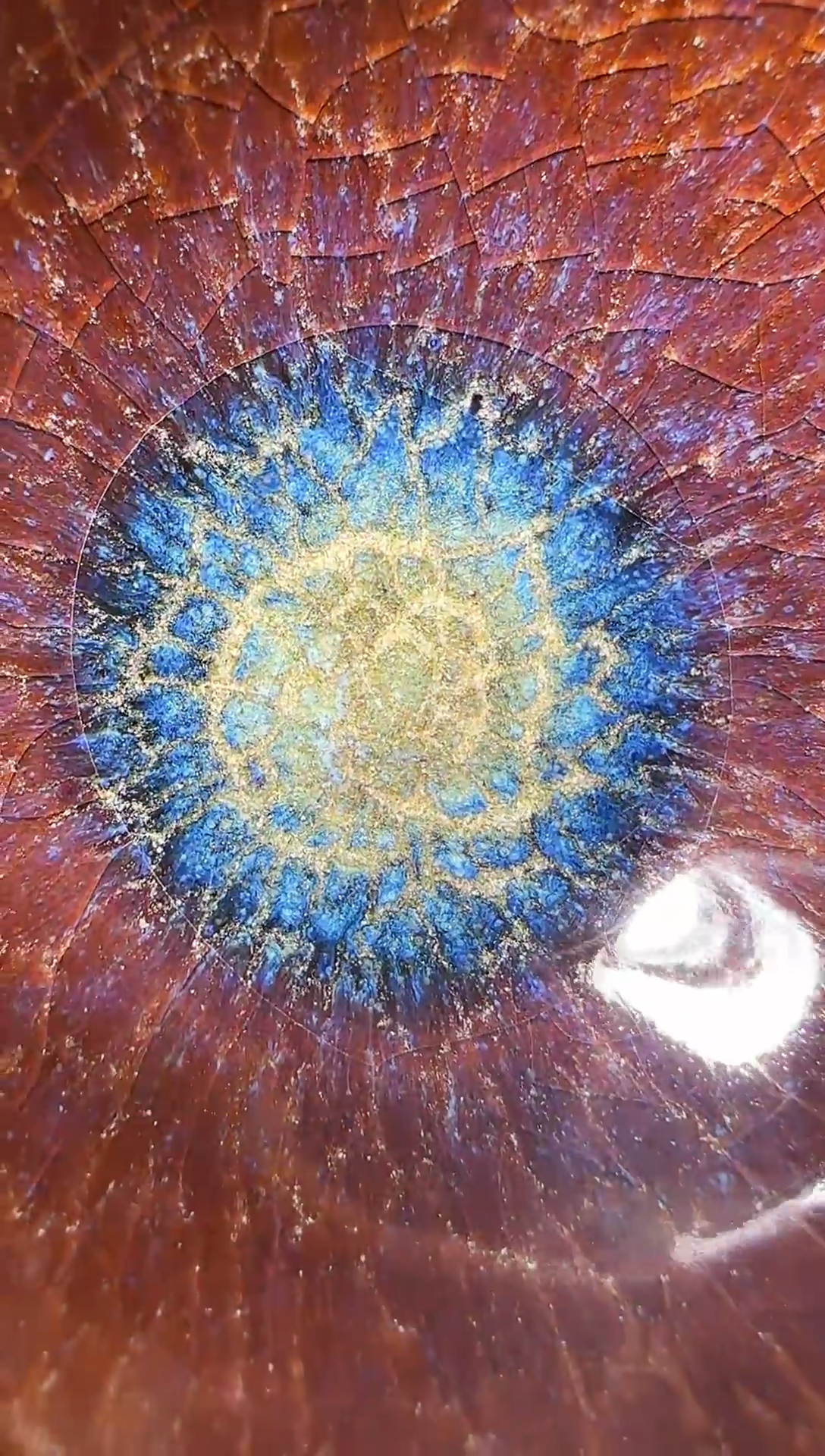 茶盏蝈*杨敏老师收藏专场14