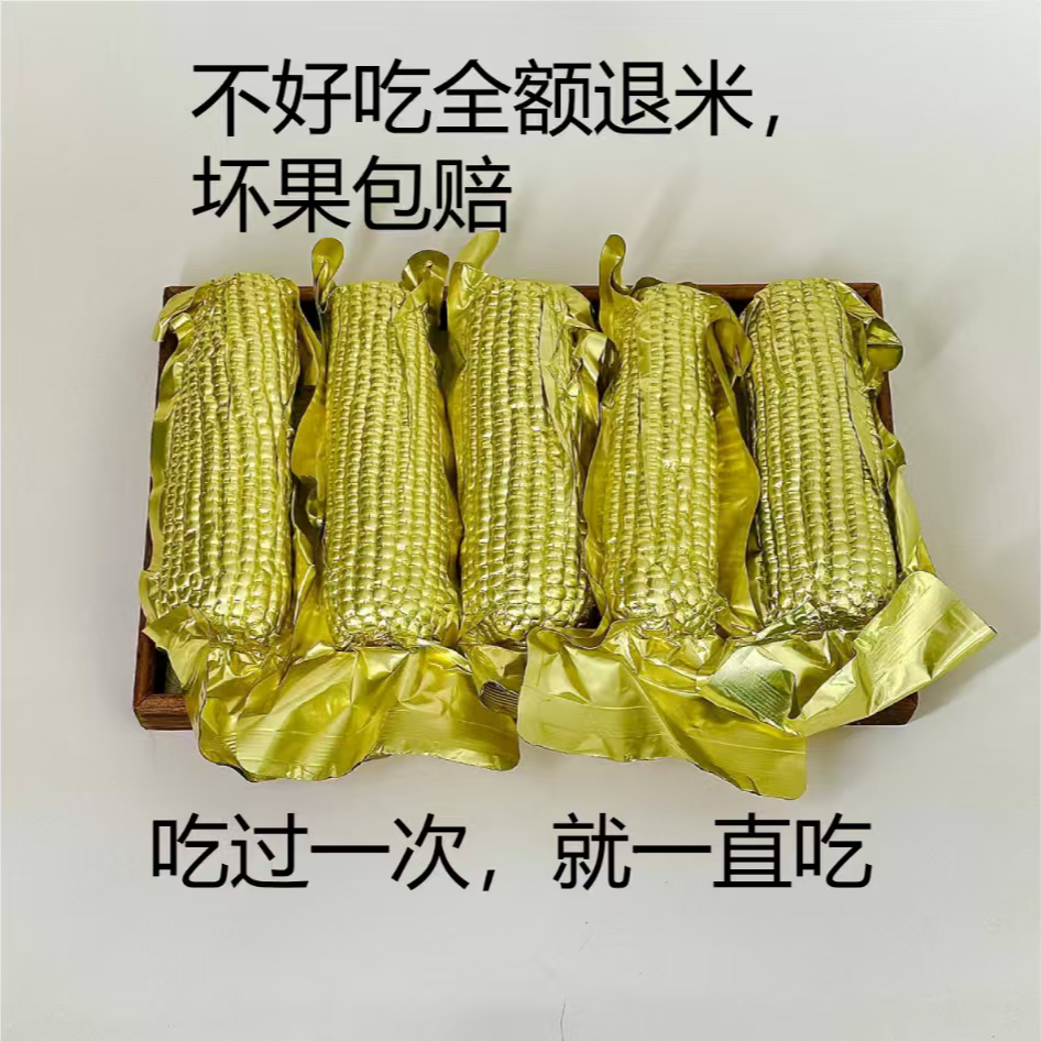 延边玉米好吃的玉米延边黄玉米汪清玉米甜玉米粘玉米吉林省