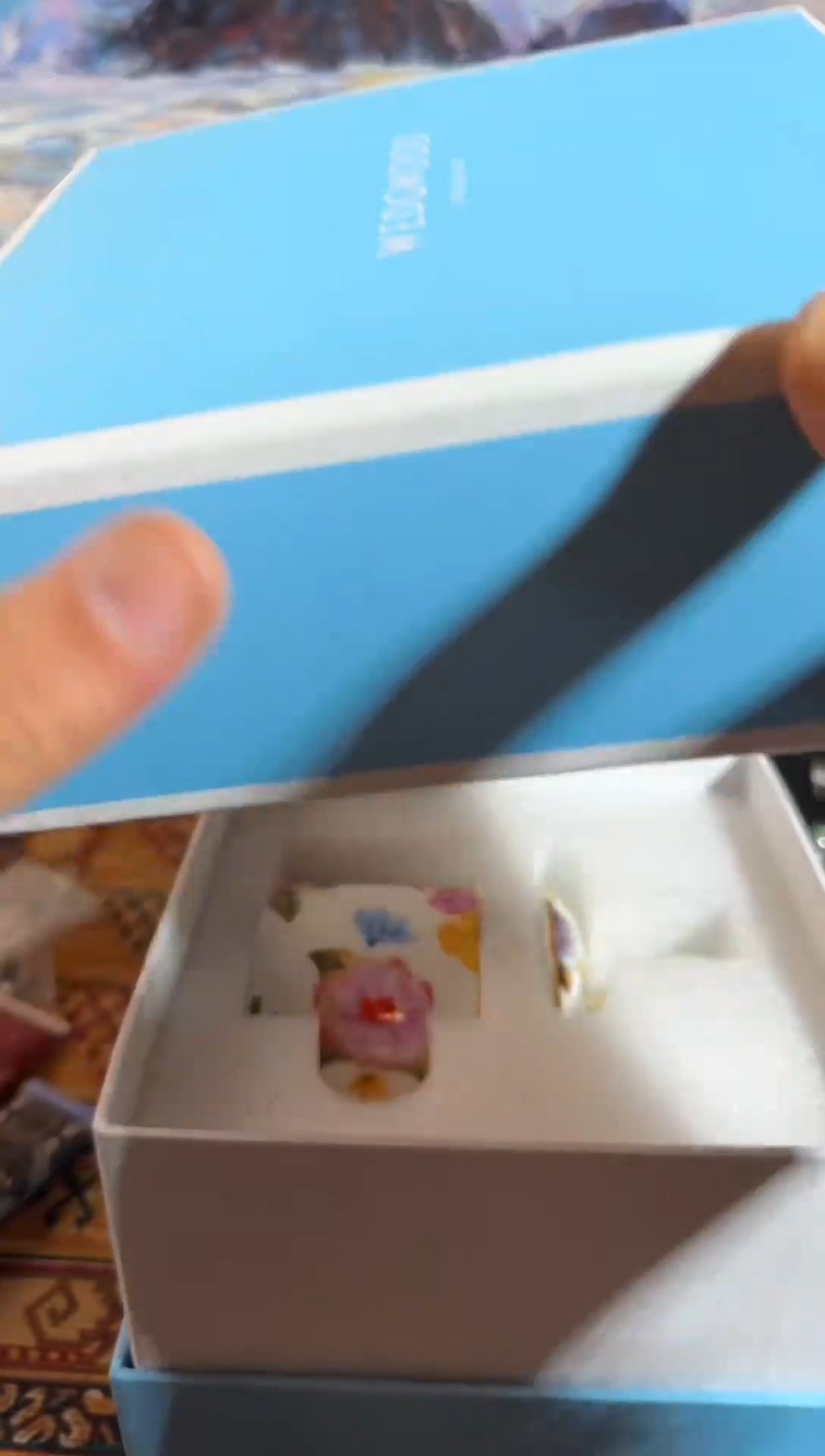 【闪购商品】盖碗海外中古孤品建盏670