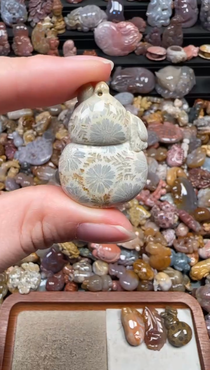 颈饰未镶嵌硅化珊瑚（珊瑚玉）680