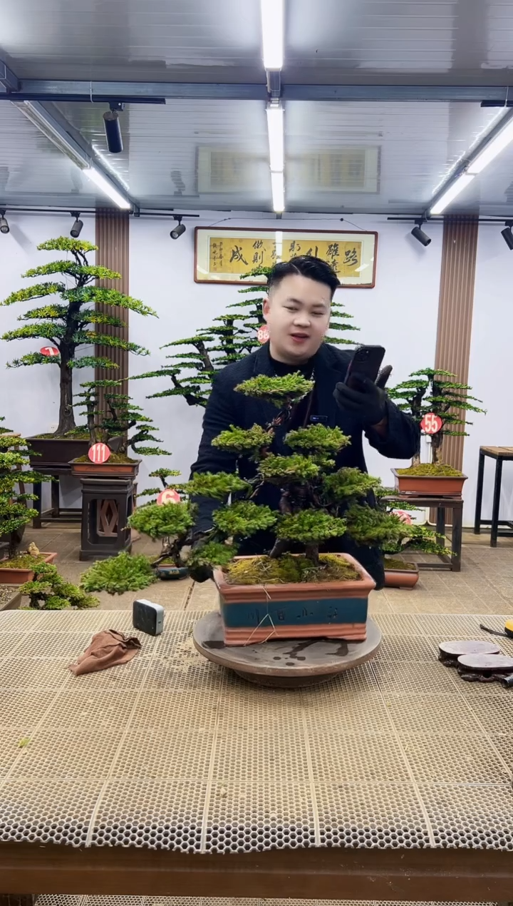 【闪购商品】00000000