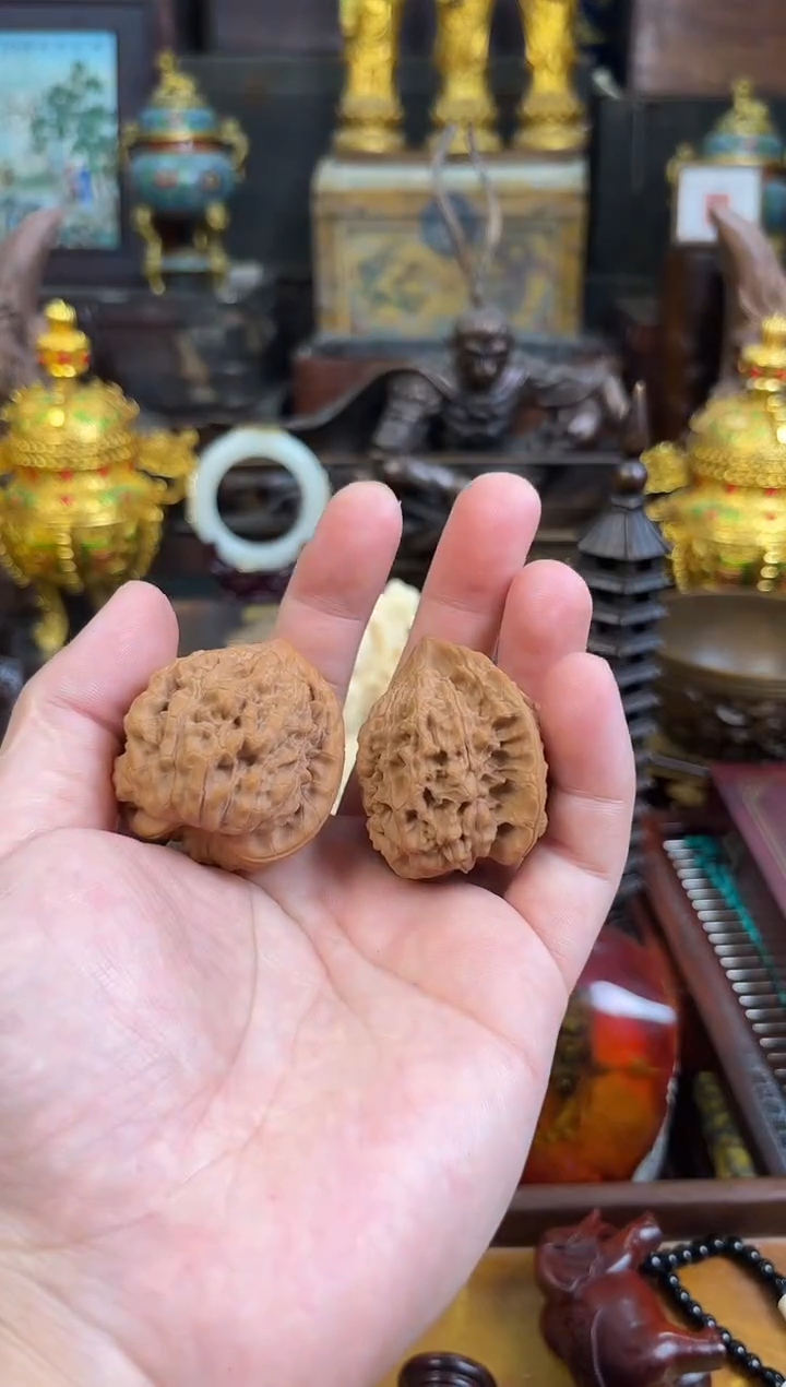 锦华斋专属闪购37