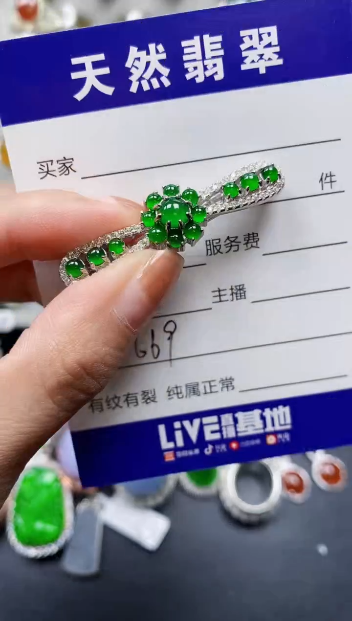 【闪购商品】翡翠颈饰银S925镶嵌0669